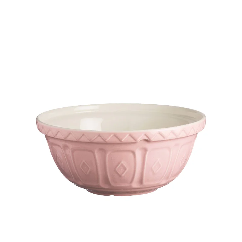 elegant porcelain soup bowls for family dinners -Mason Cash Earthenware Mixing Bowl 26cm 2.7 litre Powder in Pink