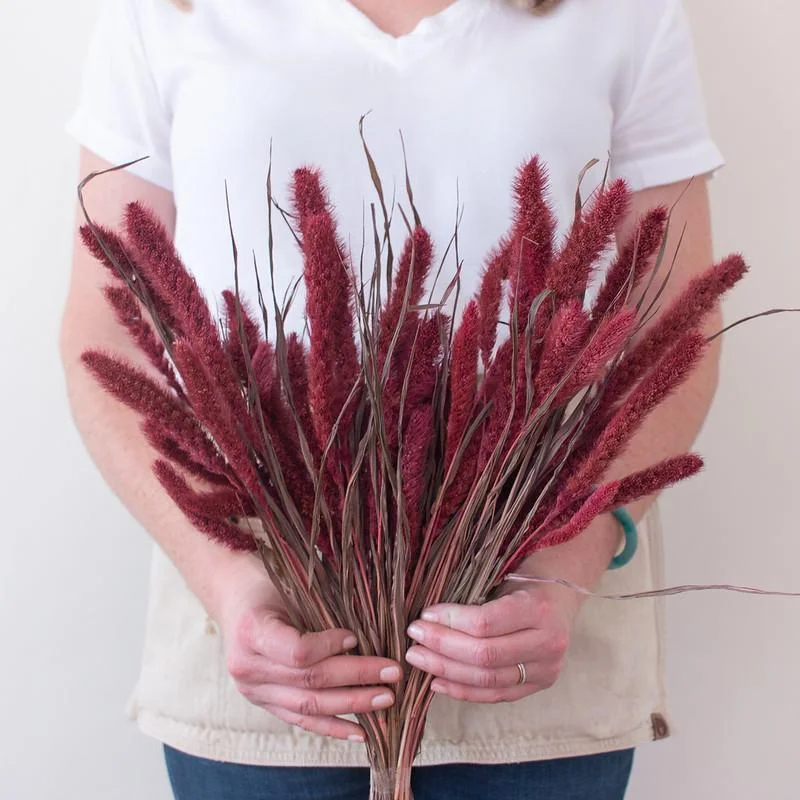 rustic handmade flower vase for modern home -Dried Burgundy Setaria Grass