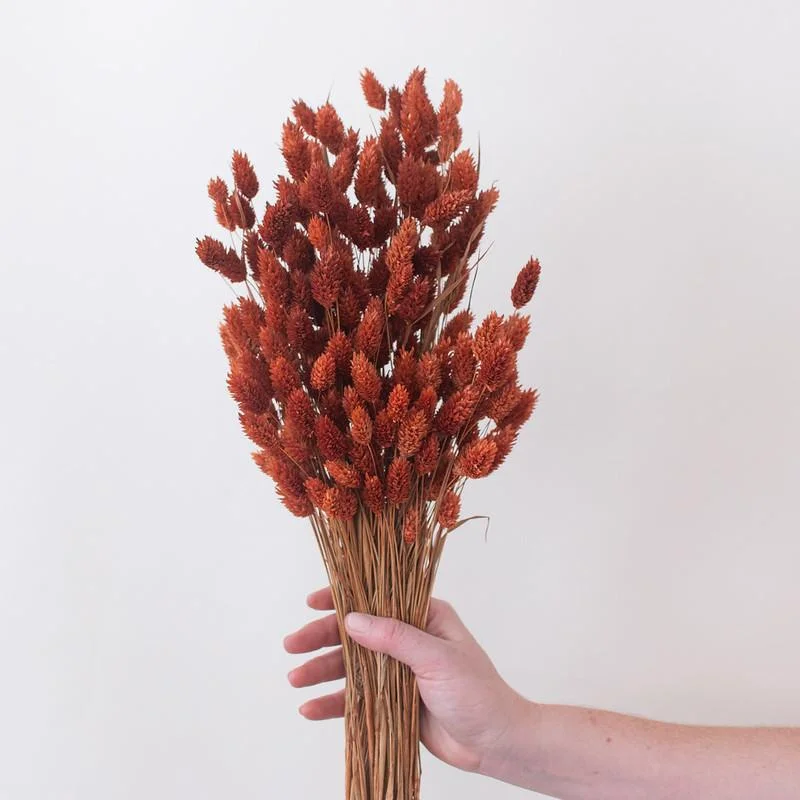 tall handmade geometric flower vase for floral designs -Dried Burnt Oak Phalaris Grass