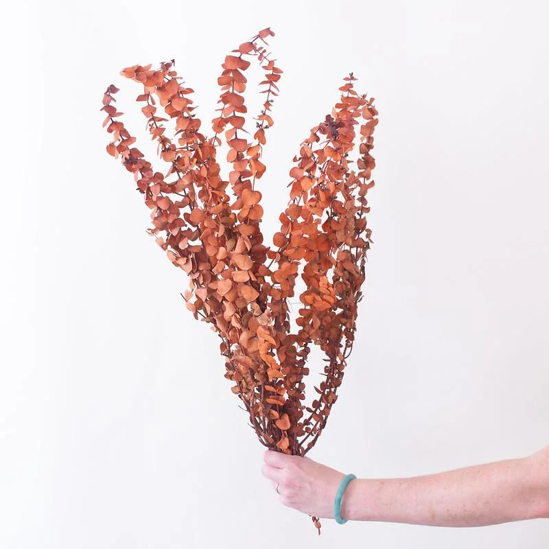 rustic handmade wooden flower vase for floral display -Dried Burnt Orange Autumn Baby Eucalyptus