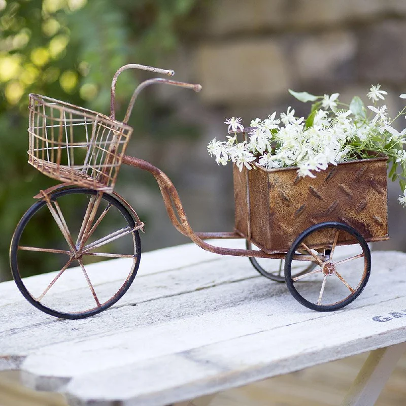 decorative geometric glass flower vase for modern home -Rusty Metal Tricycle Planter