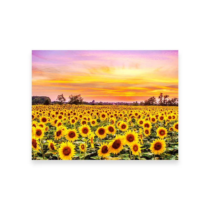 large abstract beach canvas paintings-Bed of Sunflowers