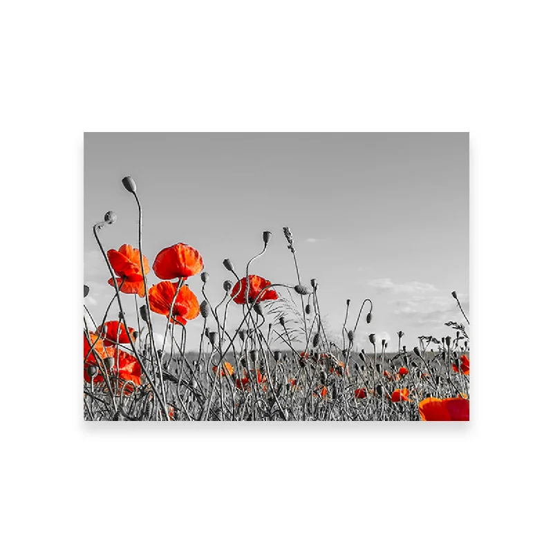 unique nature floral abstract paintings-Lovely Poppy Field