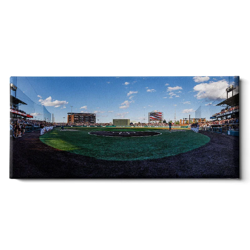 large geometric abstract botanical paintings-Mississippi State Bulldogs - Baseball Stars & Stripes Panoramic