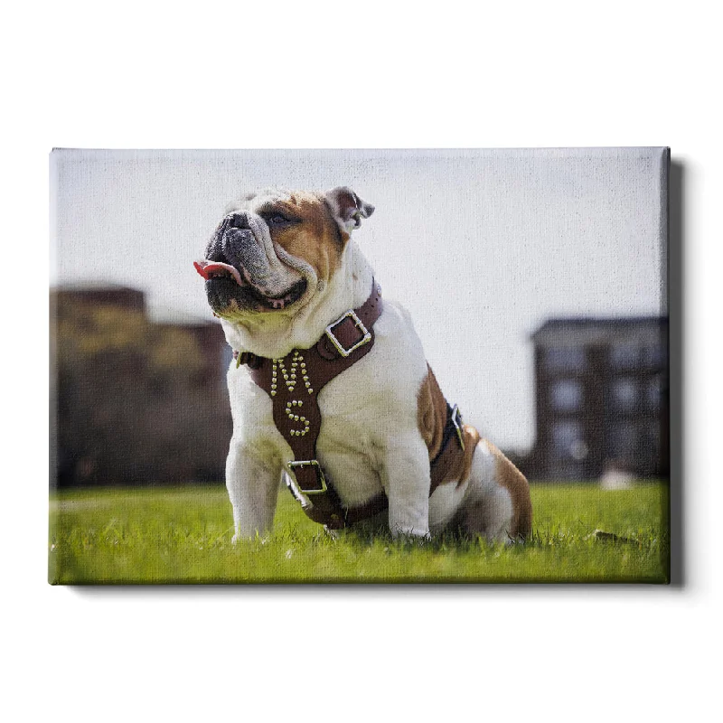 bold modern tropical paintings-Mississippi State Bulldogs - Bully XXII Day