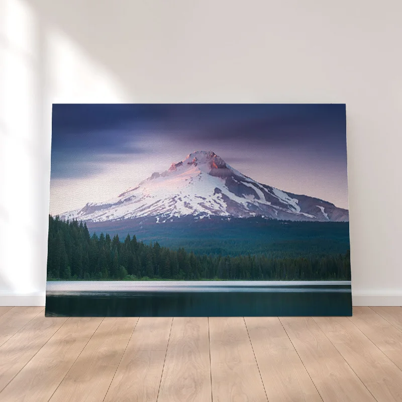 nature-themed tropical decorative paintings-Mt. Hood