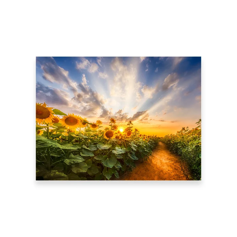 vibrant tropical nature paintings-Path Through the Sunflower Field