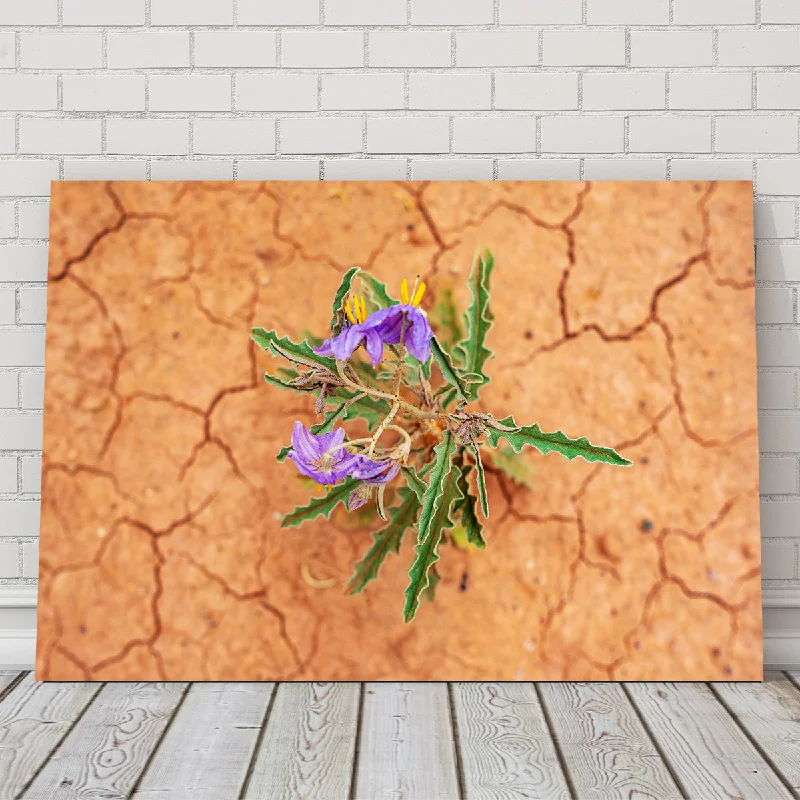 creative abstract flower paintings-Purple Desert Wild Flowers