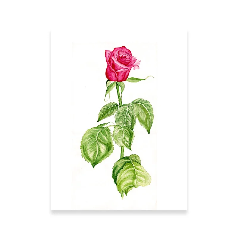 tropical vintage cityscape canvas paintings-Red Rose