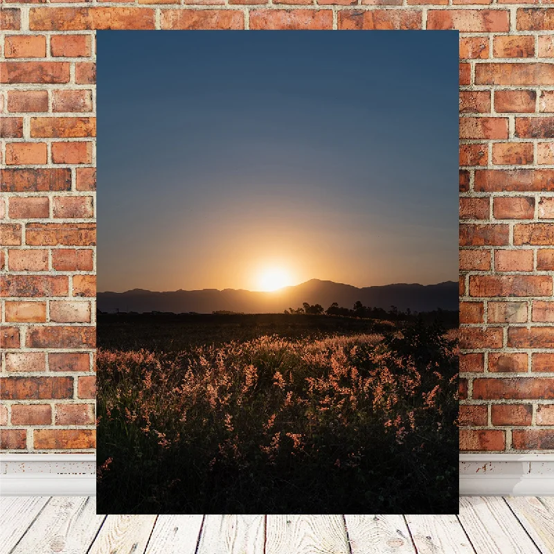 coastal beach wall art paintings-Sunset Over A Field of Flowers