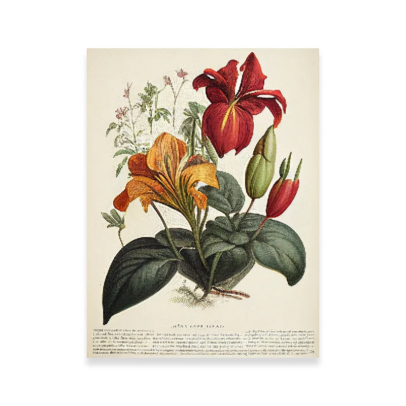 modern botanical art canvas paintings-Vintage Botanical Print Series 4