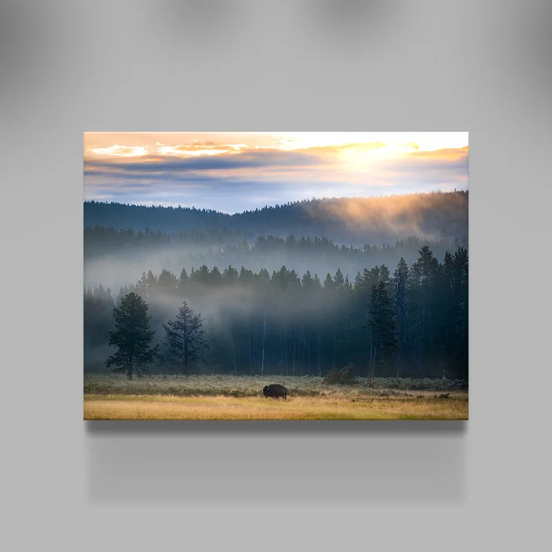 oversized floral canvas art-Yellowstone at Dawn